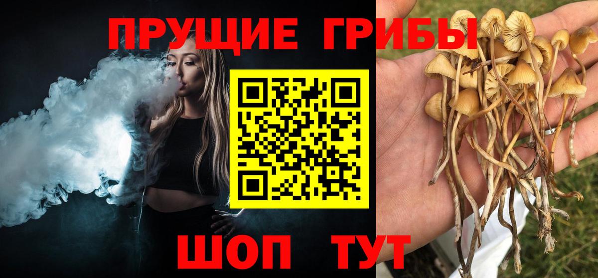 Коммунар  Псилоцибиновые грибы мухоморы  Псилоцибиновые грибы Cubensis  Вход с VPN 